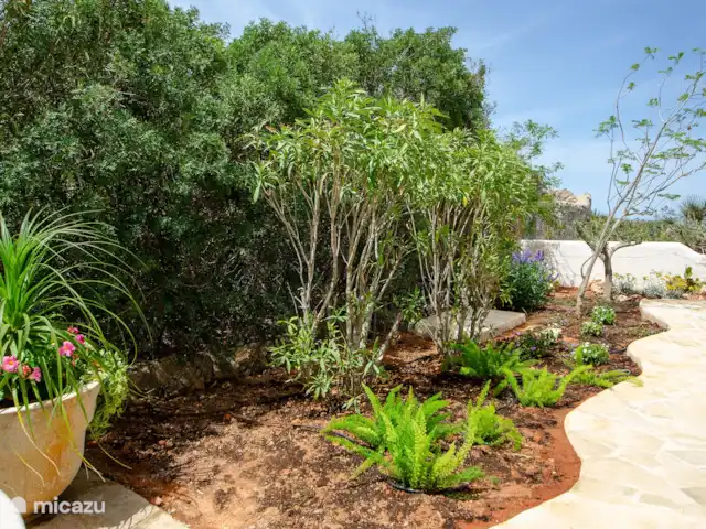 Xénophilie VI | Espagne, Costa Blanca, Benitachell - villa Jardin à l’arrière de la villa