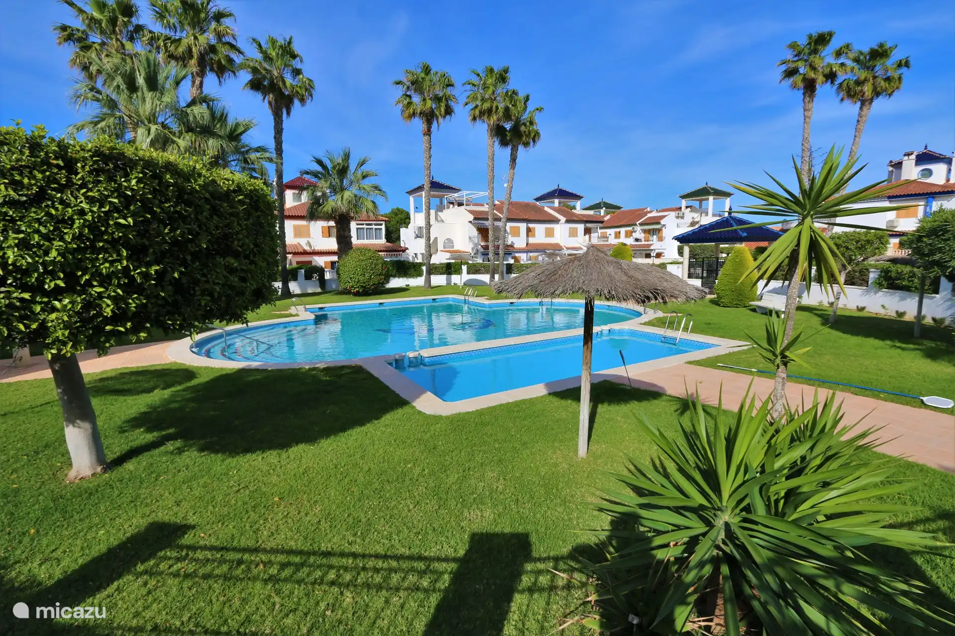 Gemeinschaftlicher Swimmingpool 