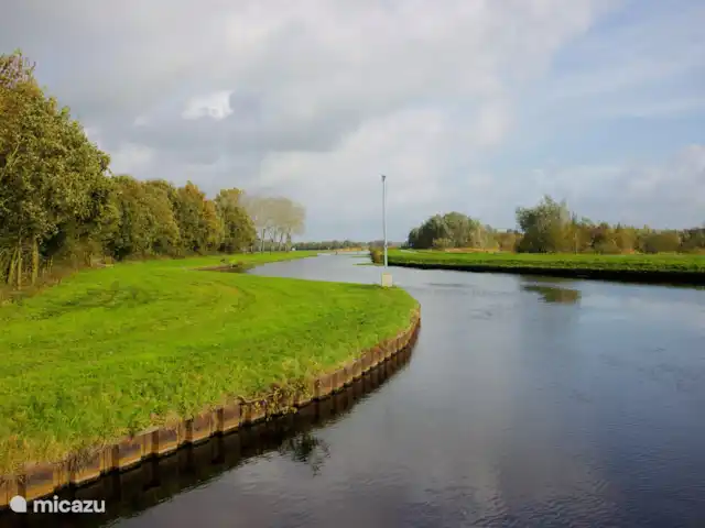 Location de Vacances Pays-Bas, Drenthe, Zuidwolde, tiny house - La chouette hulotte Nature environnante