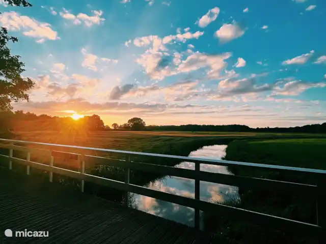 Location de Vacances Pays-Bas, Drenthe, Zuidwolde, tiny house - La chouette hulotte Nature environnante
