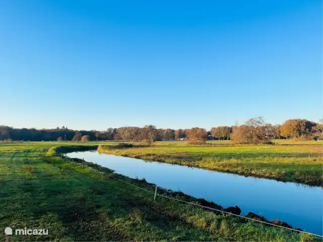 Location de Vacances Pays-Bas, Drenthe, Zuidwolde, tiny house - La chouette hulotte Nature environnante