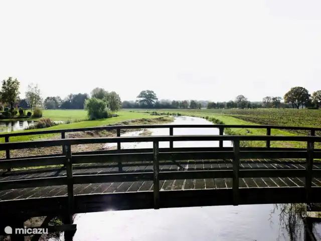 Location de Vacances Pays-Bas, Drenthe, Zuidwolde, tiny house - La chouette hulotte Nature environnante