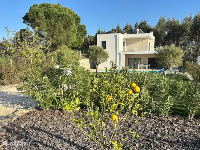 Casa Limeira | Portugal, Costa de Prata, Nadadouro - maison de vacances Jardin