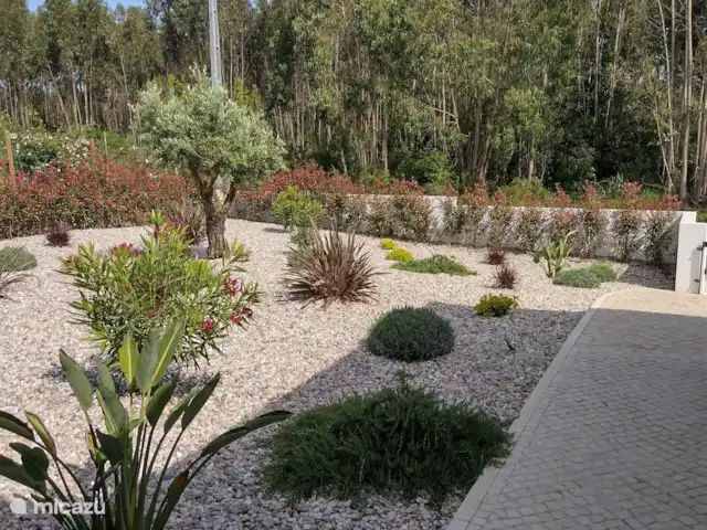 Casa Limeira | Portugal, Costa de Prata, Nadadouro - maison de vacances Jardin