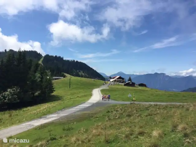 Sonnenalp Markbachjoch XL en Austria, Tirol, Niederau - apartamento Senderismo maravilloso, acogedoras cabañas alpinas, quesería, etc.