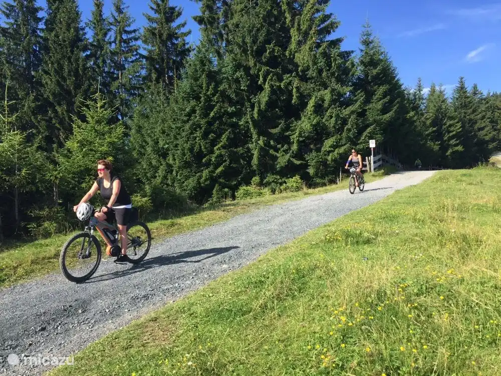 Biken of fietsen in de bergen.