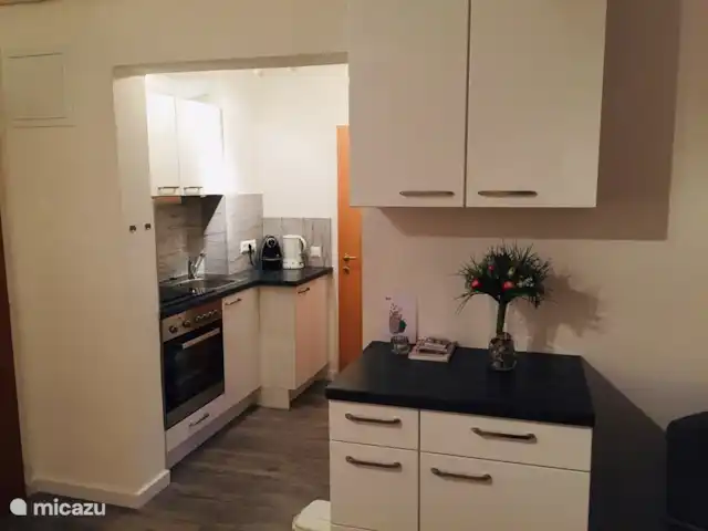 Sonnenalp Markbachjoch XL en Austria, Tirol, Niederau - apartamento Cocina moderna nueva (2018) con vitrocerámica de 4 fuegos, campana extractora, horno y suficiente espacio de alacena.