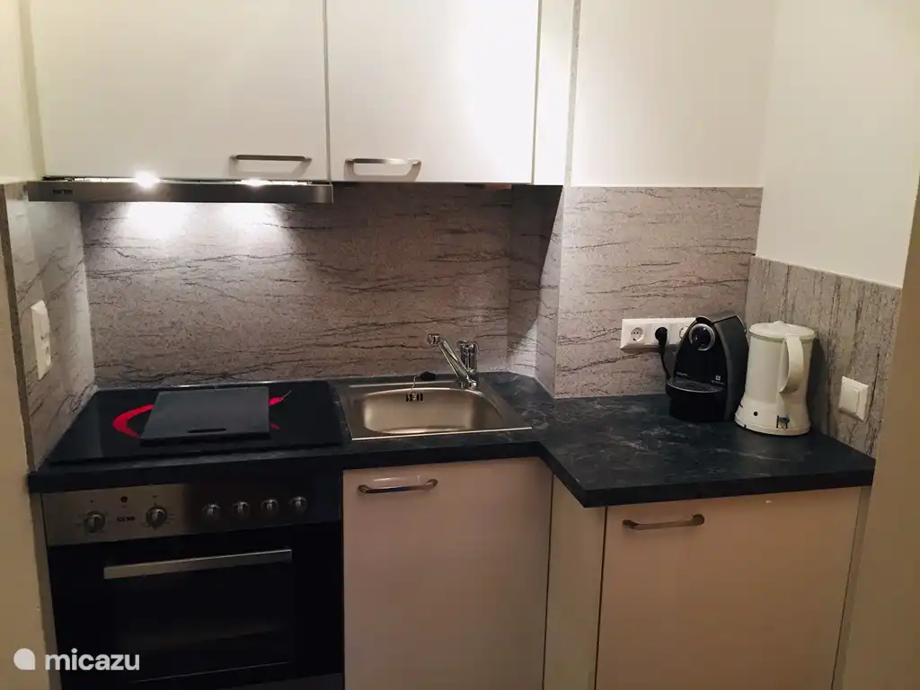 Nieuwe moderne keuken (2018) met 4-pits keramische kookplaat, afzuigkap, bakoven en voldoende kastruimte.