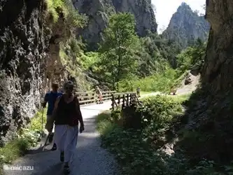 Niederau le ofrece hermosas rutas de senderismo.