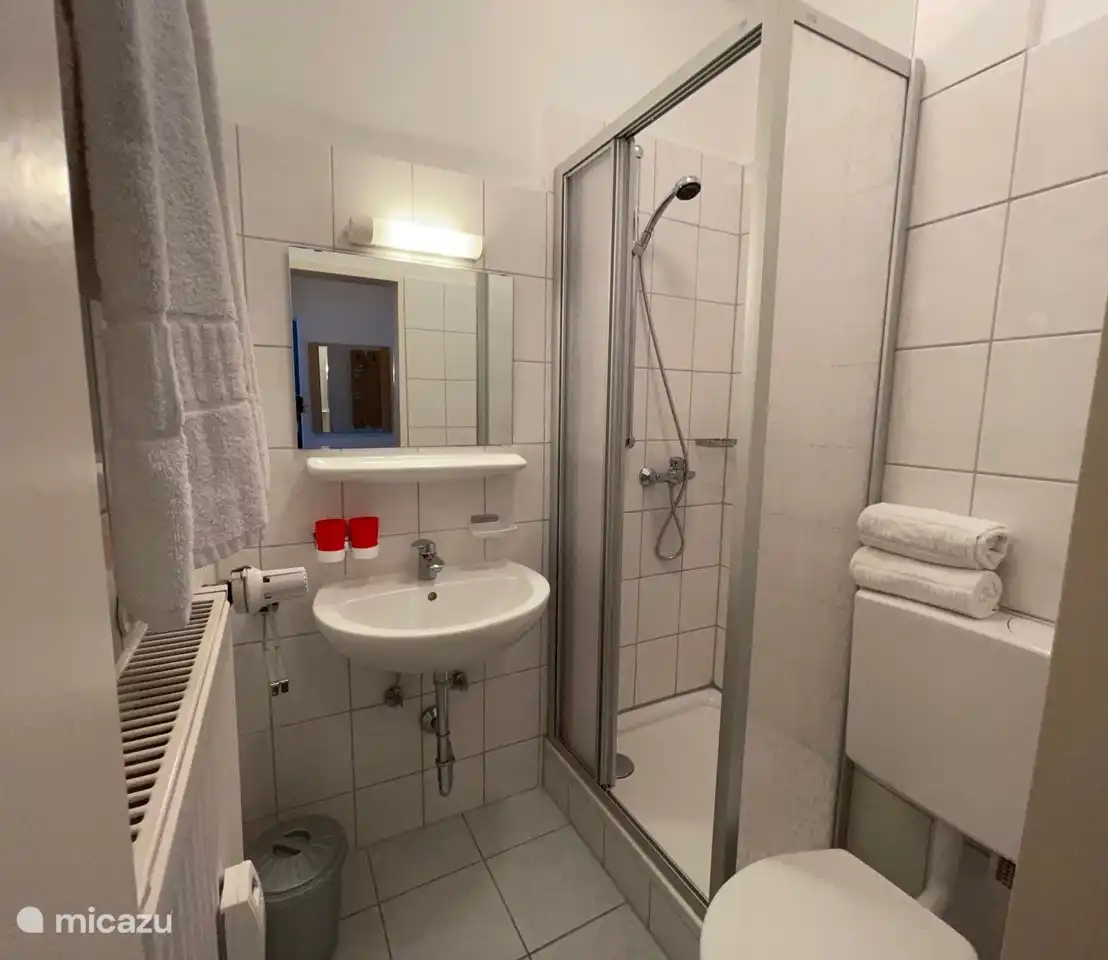 Baños modernos con cabina de ducha, inodoro, lavabo con espejo (lámpara)