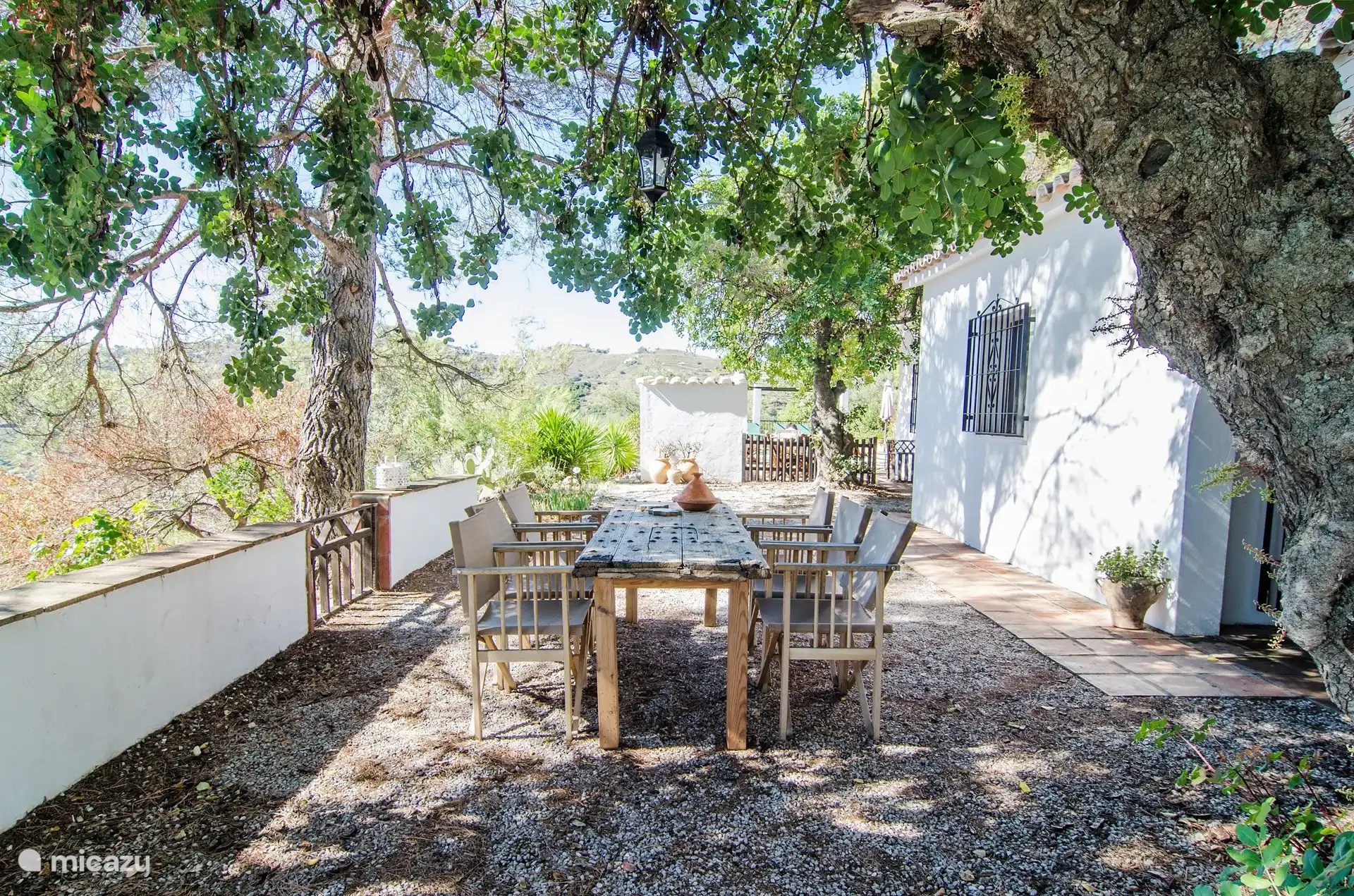 Tisch unter den Bäumen