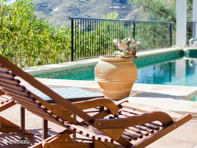 Location de Vacances Espagne, Andalousie, Cómpeta, finca - Los dos Algarrobos Chaises longues à la piscine de l’essaim