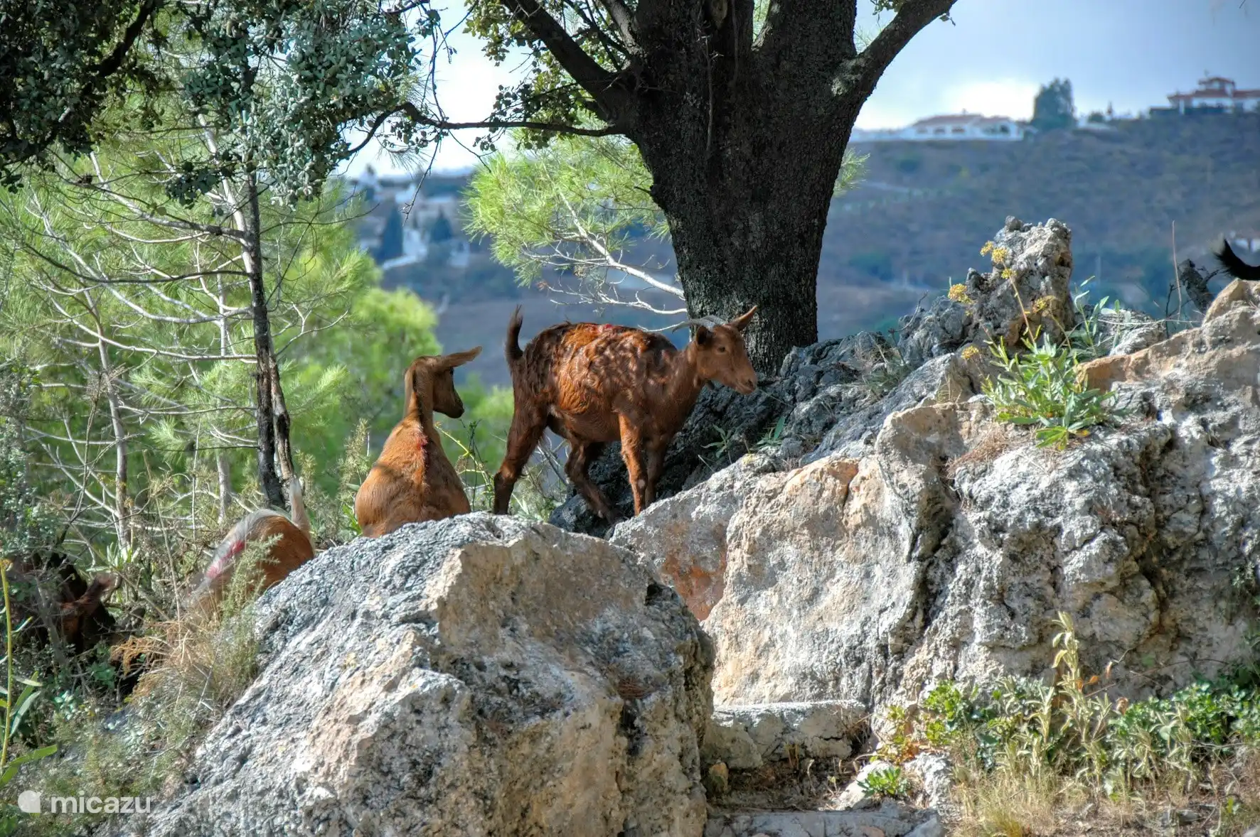 Hochkarätige Besucher
