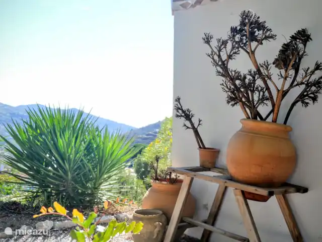 Location de Vacances Espagne, Andalousie, Cómpeta, finca - Los dos Algarrobos Détail