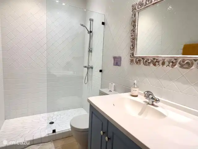 Villa Verte en Francia, Costa Azul, Grimaud - casa vacacional Baño