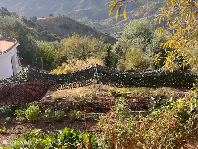 Finca Maran Casa | Espagne, Andalousie, Colmenar - finca