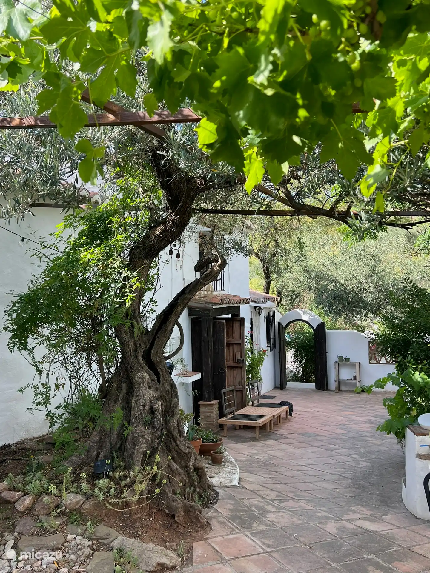 finca, Colmenar , Andalucía, España - Finca Maran Casa