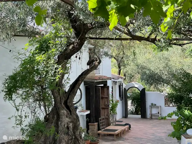Finca Maran Casa | Espagne, Andalousie, Colmenar - finca Finca Maran Casa | Espagne, Andalousie, Colmenar - finca