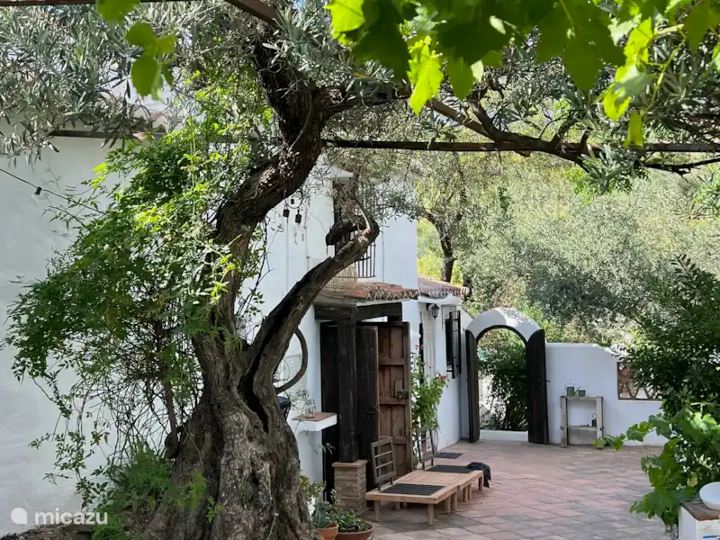 Finca Maran Casa | Espagne, Andalousie, Colmenar - Finca Finca Maran Casa | Espagne, Andalousie, Colmenar - Finca