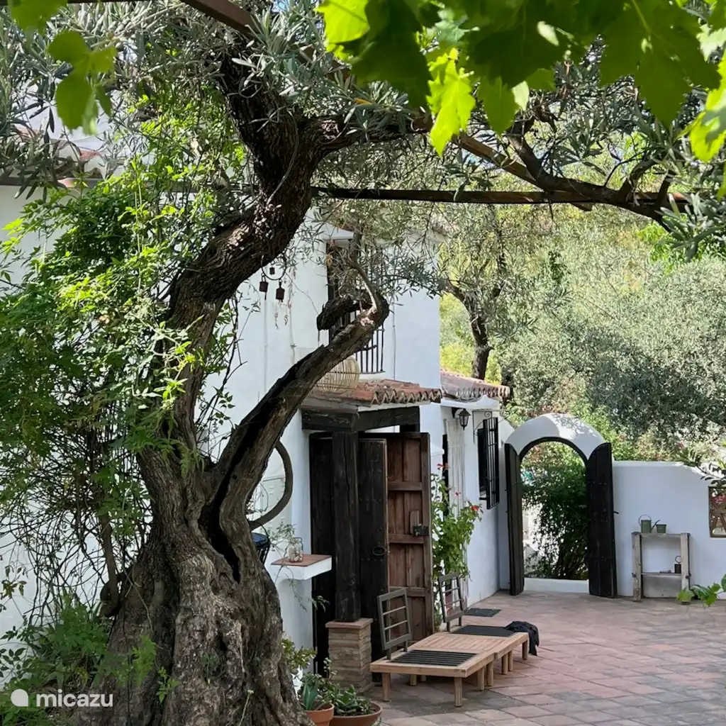 Finca Finca Maran Casa Adults-Only in Colmenar