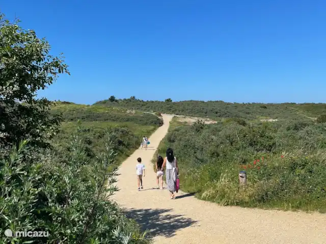 Vacances-Ouddorp | Pays-Bas, Hollande méridionale, Ouddorp - maison de vacances Chemin vers la plage