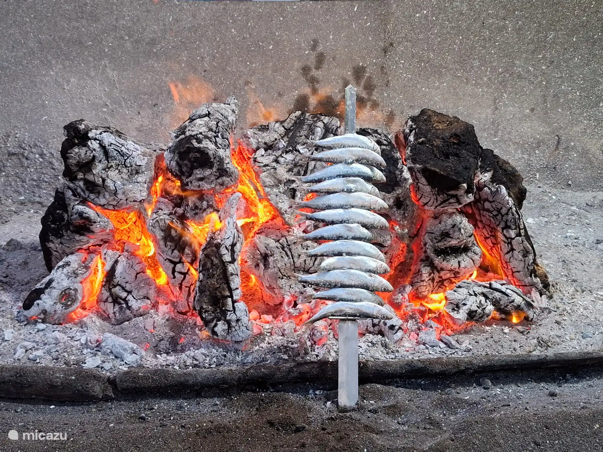 Beroemde strandbarbecues met sardientjes