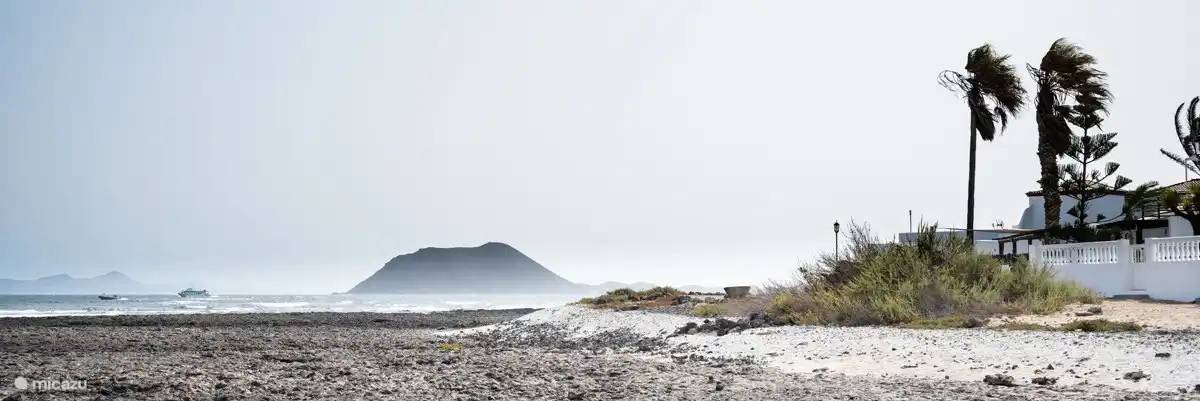 Blick auf die Insel Lobos von der Außentür Eingang durch den Garten 