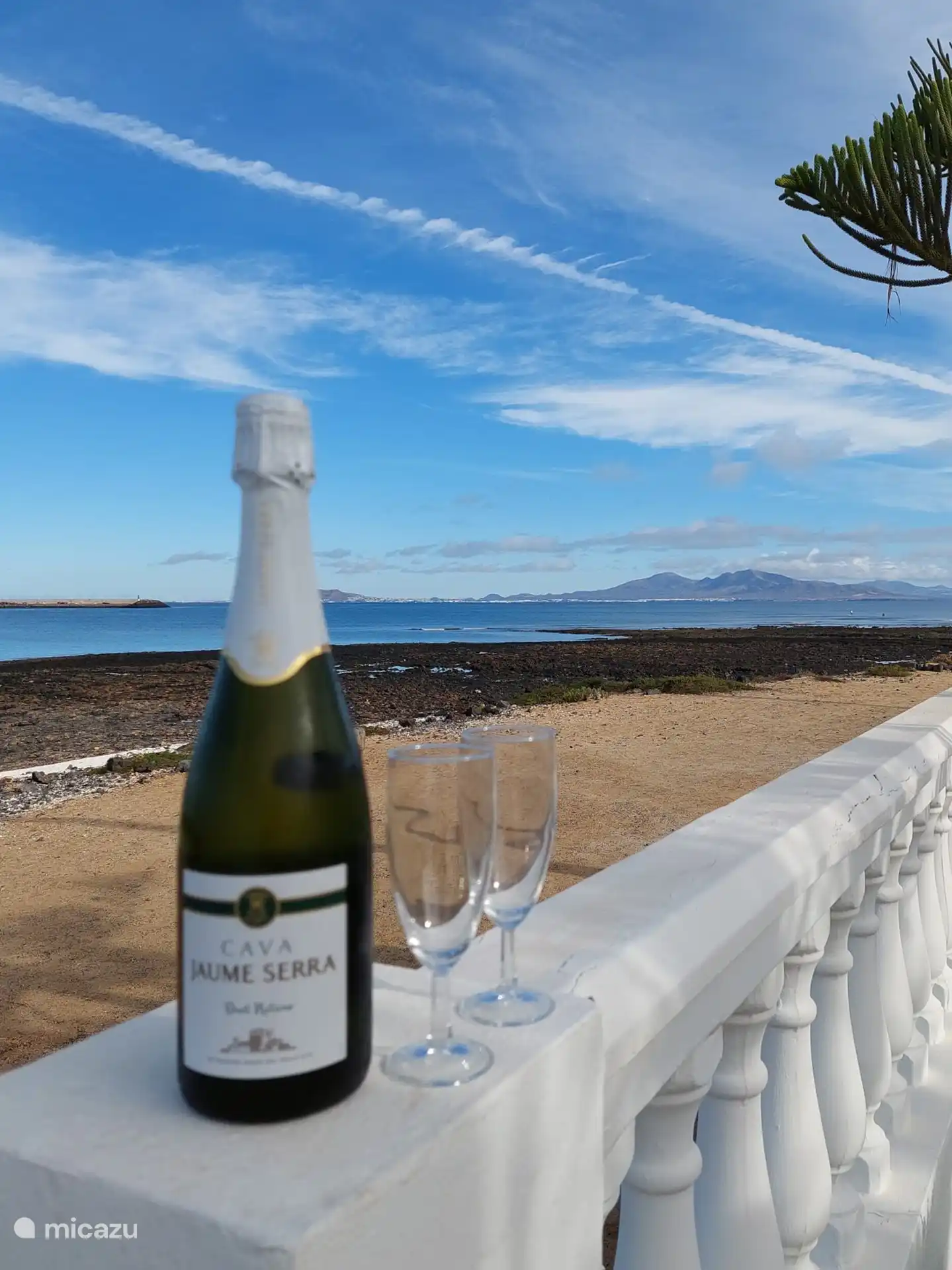 Willkommensgeschenk, Check-in. 