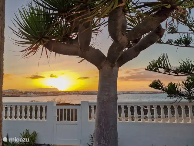 Villa La Maja en bord de mer | Espagne, Fuerteventura, Corralejo - villa Villa La Maja en bord de mer | Espagne, Fuerteventura, Corralejo - villa