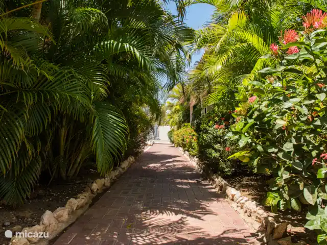 Blue Marlin Resort 1 | Curaçao, Banda Ariba (est), Mambo Beach - maison de vacances jardin