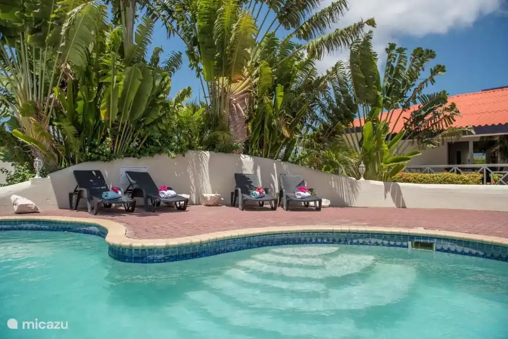 Schöner Swimmingpool, umgeben von einem schönen Garten.