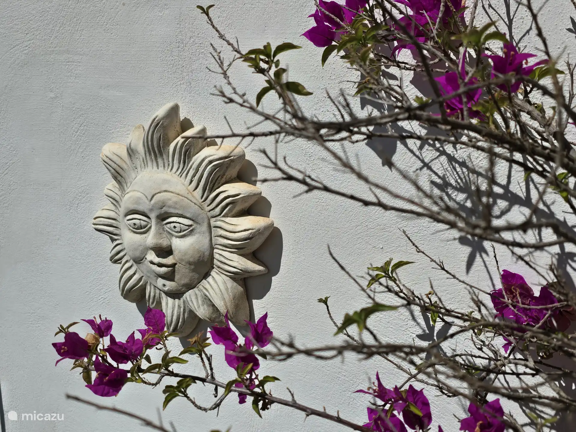 Escultura del sol con buganvillas. El jardín tiene muchas plantas y árboles hermosos. Todo se riega automáticamente (excepto las plantas en macetas alrededor de las terrazas, ¡riéguelas usted mismo!).
