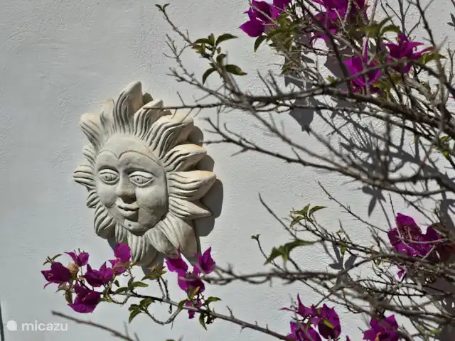 Cortijo Algarrobo en España, Costa del Sol, Torrox - villa Escultura del sol con buganvillas. El jardín tiene muchas plantas y árboles hermosos. Todo se riega automáticamente (excepto las plantas en macetas alrededor de las terrazas, ¡riéguelas usted mismo!).