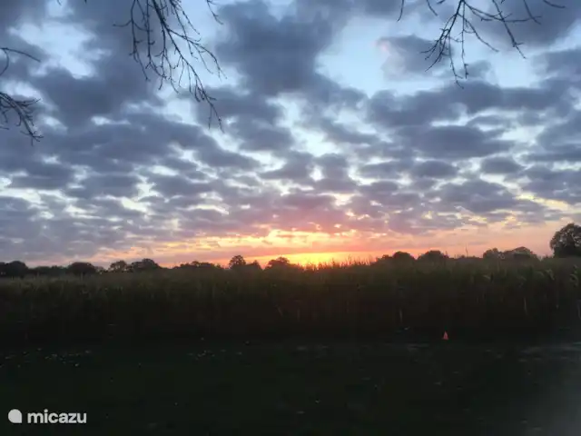 casa vacacional en Países Bajos, Güeldres, Aalten – Casa de vacaciones Het Poggenschot Uno de los muchos cielos hermosos que puedes ver aquí.