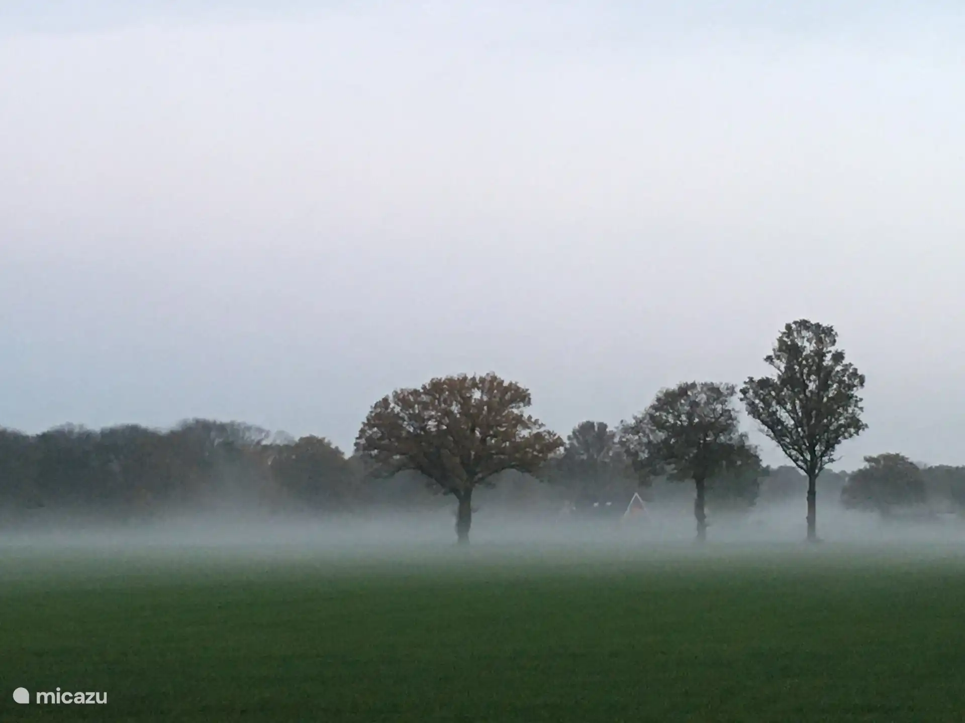 Umliegende Ackerflächen