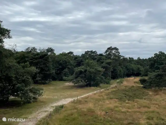 casa vacacional en Países Bajos, Güeldres, Aalten – Casa de vacaciones Het Poggenschot La reserva natural de Vennebulten