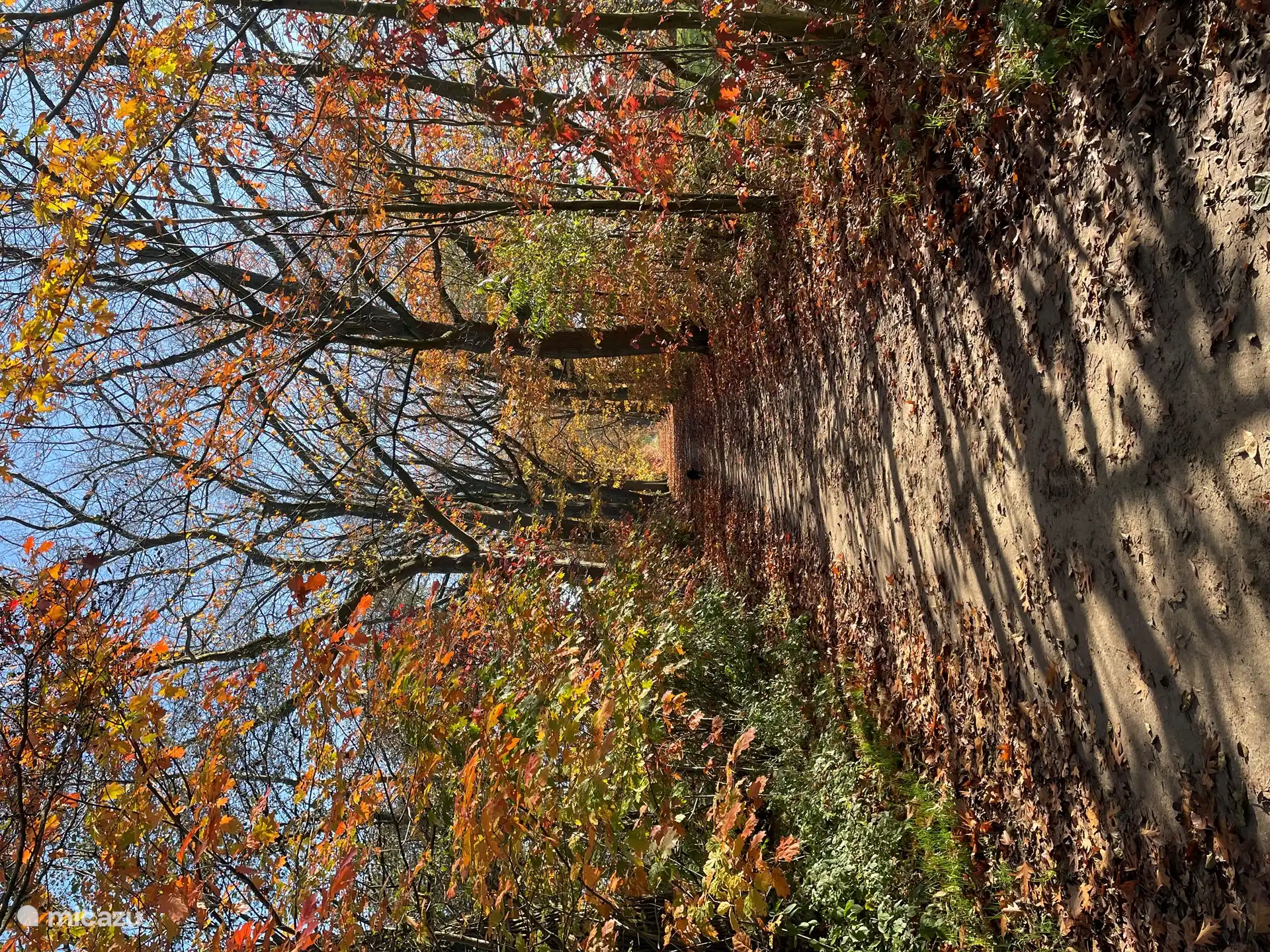 Vennebulten im Herbst
