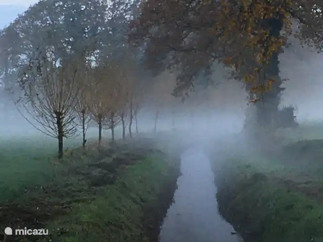 casa vacacional en Países Bajos, Güeldres, Aalten – Casa de vacaciones Het Poggenschot También es hermoso aquí por la mañana en otoño