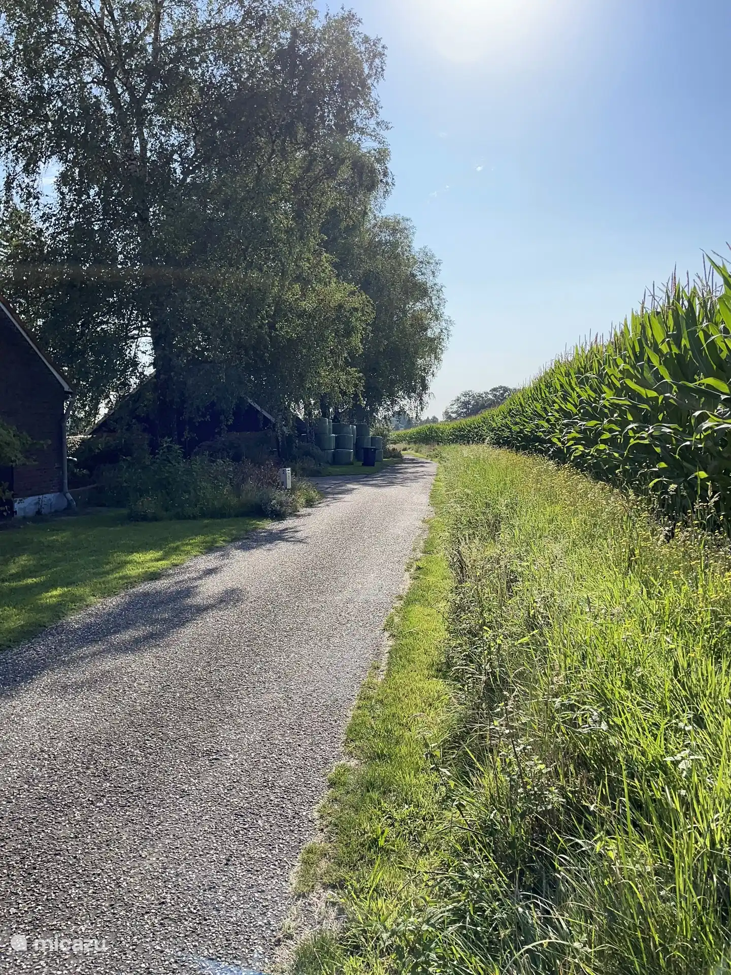 Die Sackgasse (links unser Hof, ist das letzte Haus auf der Straße).