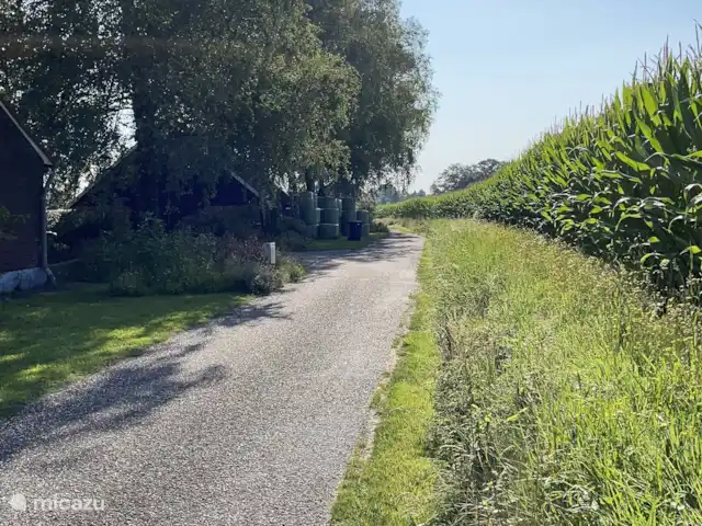 casa vacacional en Países Bajos, Güeldres, Aalten – Casa de vacaciones Het Poggenschot El callejón sin salida (a la izquierda nuestra finca, está la última casa del camino).