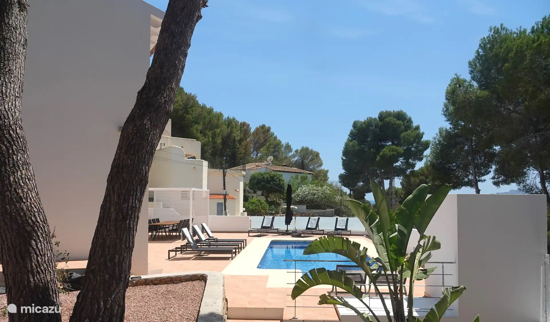 The swimming pool with terrace1 of 