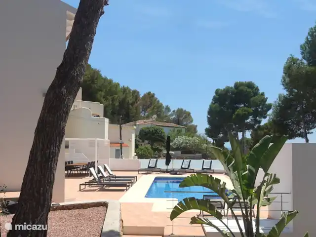 Piscine privée Casa Rembrandt Moraira | Espagne, Costa Blanca, Moraira - villa La piscine avec terrasse1 de