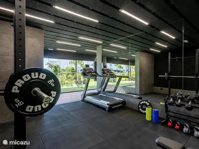 Residencial Bali luxe appartement huren in Spanje, Costa Blanca, Punta Prima - appartement Gezamenlijke fitnessruimte