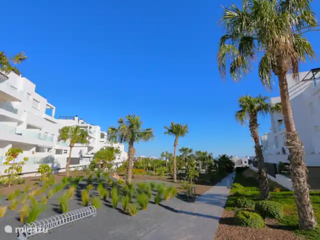 Residencial Bali luxe appartement huren in Spanje, Costa Blanca, Punta Prima - appartement Residencial Bali luxe appartement