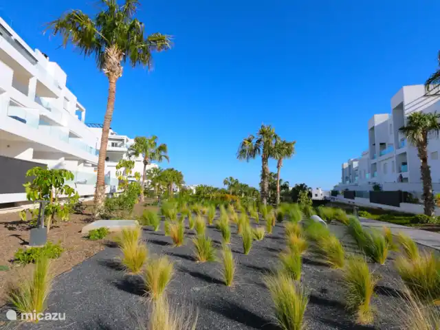 Residencial Bali luxe appartement huren in Spanje, Costa Blanca, Punta Prima - appartement Residencial Bali luxe appartement