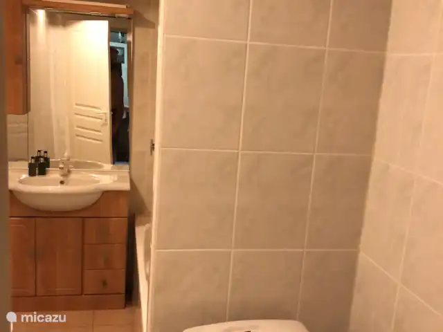 Location de Vacances France, Deux-Sèvres, Mairé-Levescault, gîte / cottage - Bienvenue Chez Nous