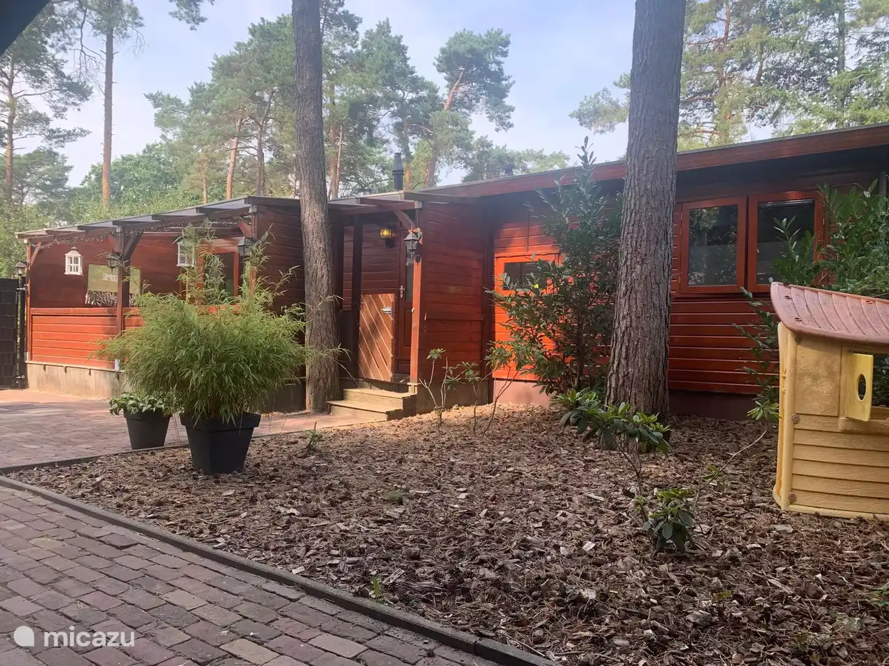 Chalet schöner Spaziergang in der Natur in Niederlande, Gelderland, Doornspijk - chalet