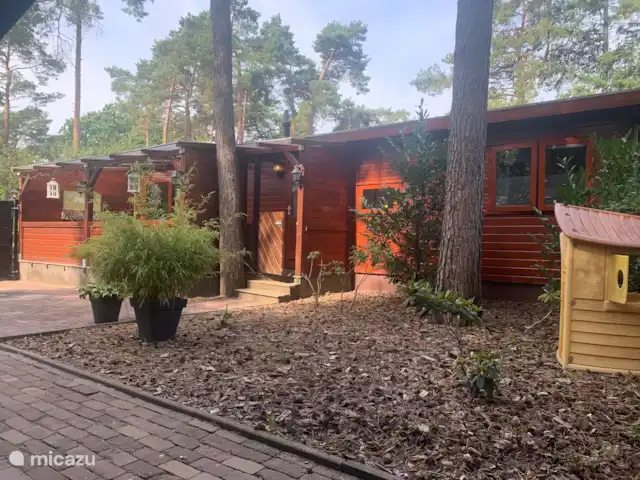 Chalet belle balade en pleine nature | Pays-Bas, Gueldre, Doornspijk - chalet Chalet belle balade en pleine nature | Pays-Bas, Gueldre, Doornspijk - chalet