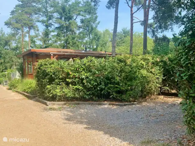Chalet belle balade en pleine nature | Pays-Bas, Gueldre, Doornspijk - chalet