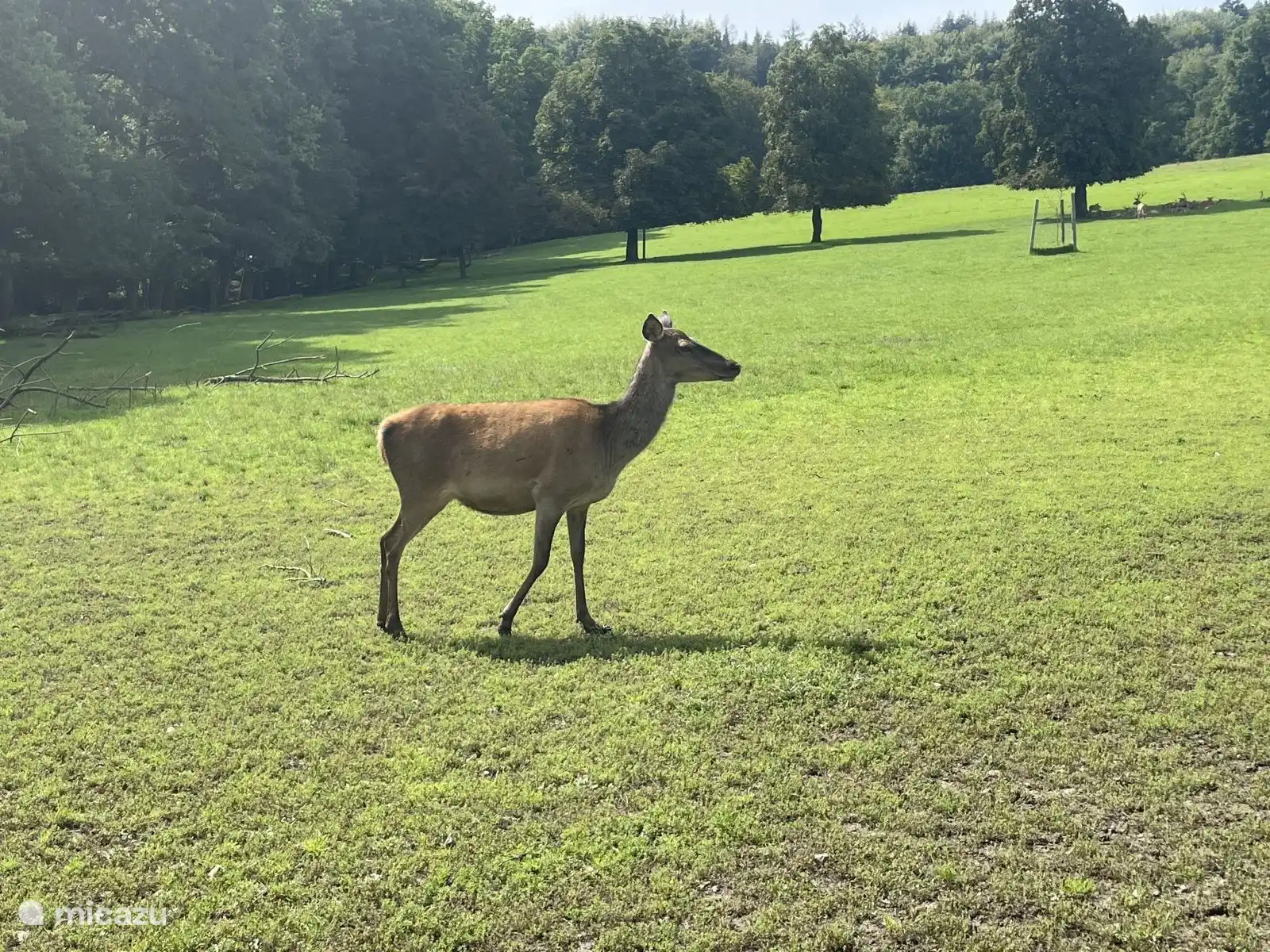 Ruhe, Platz und Natur in der Umgebung